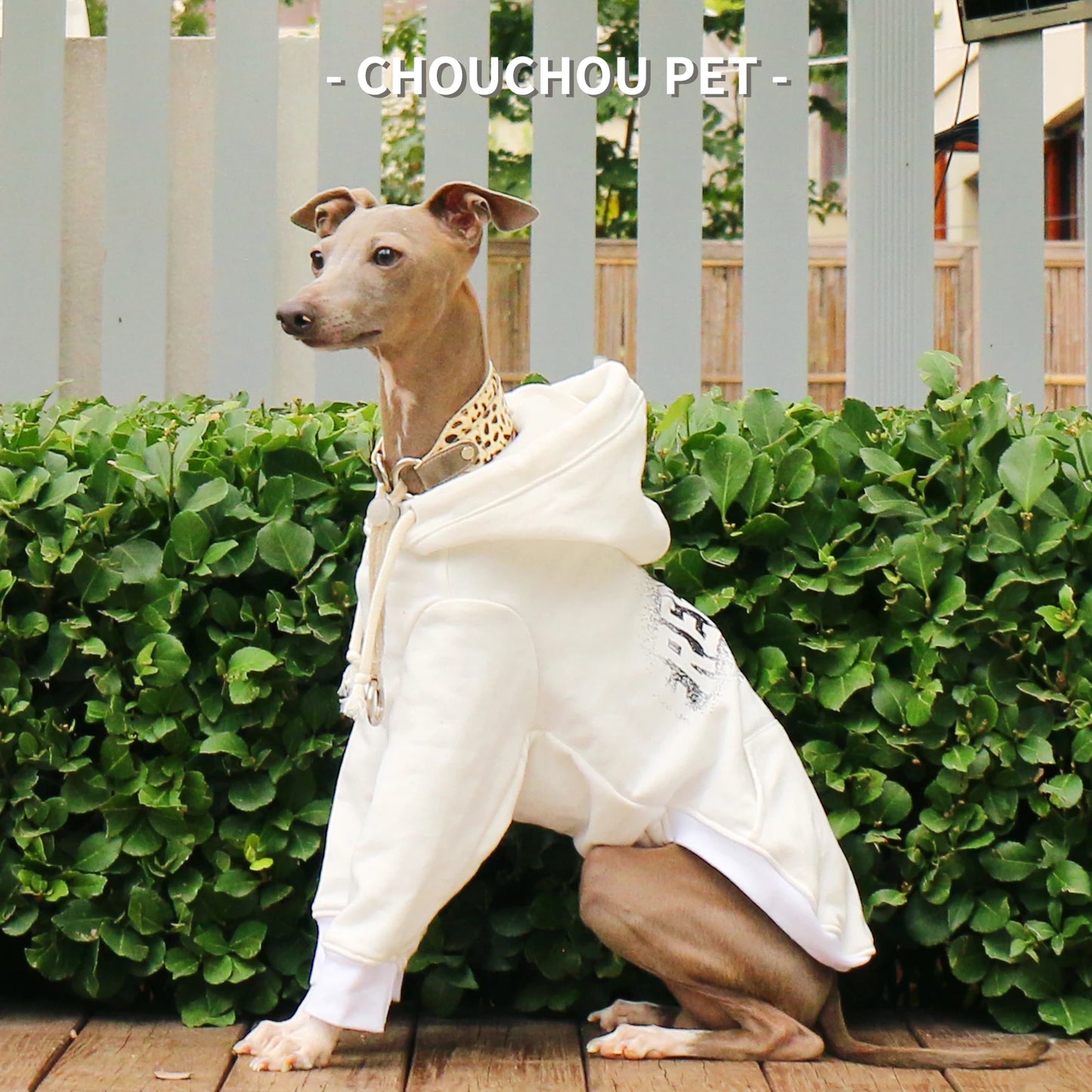 Sudadera Manga Larga