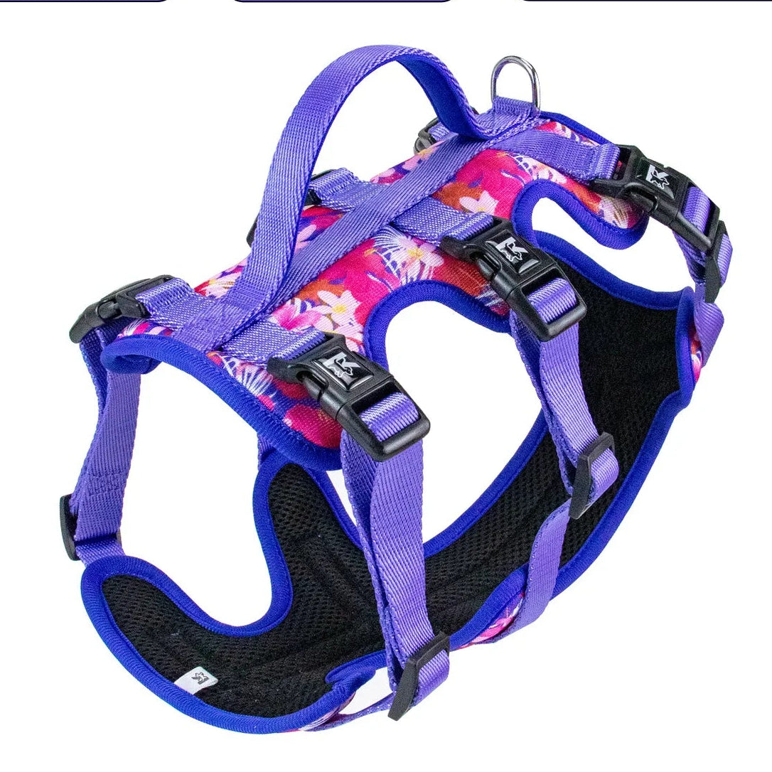 Arnés de Tres Puntos (antiescape)