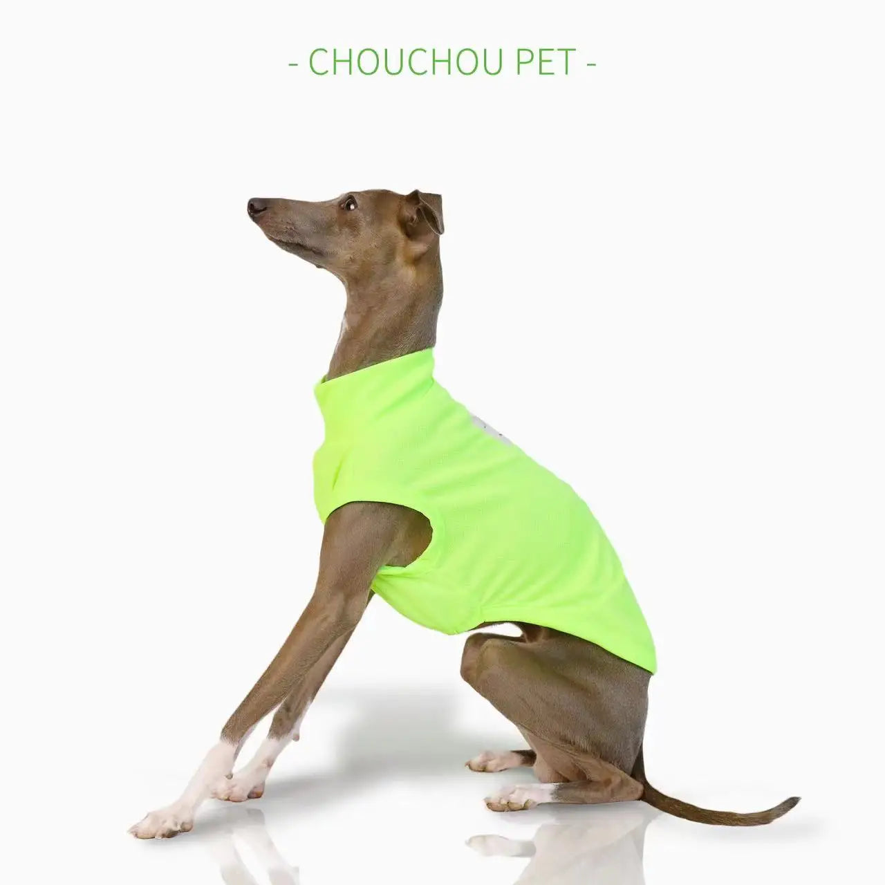 Camiseta de Poliéster Whippet