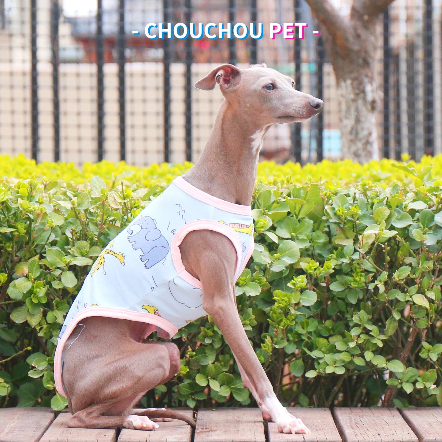 Camiseta de Algodón Ositos