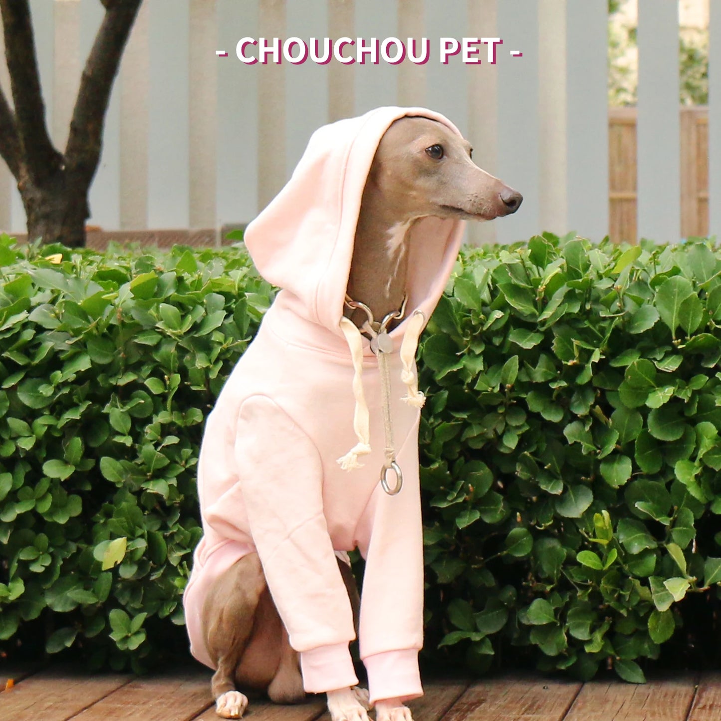 Sudadera Manga Larga