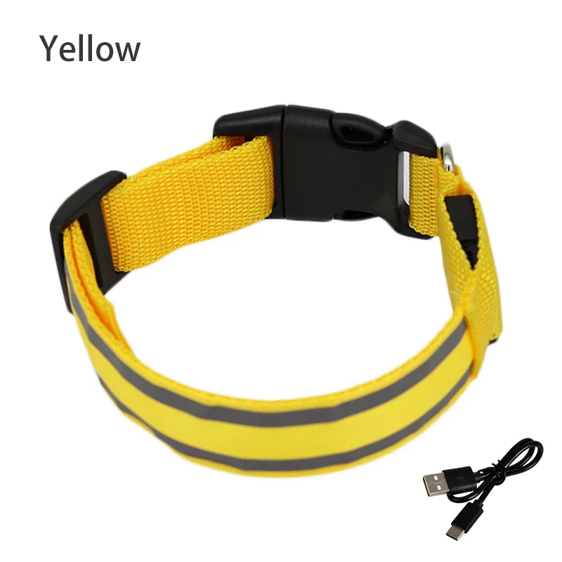 Collar Luminoso