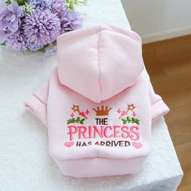 Sudaderas con Letras