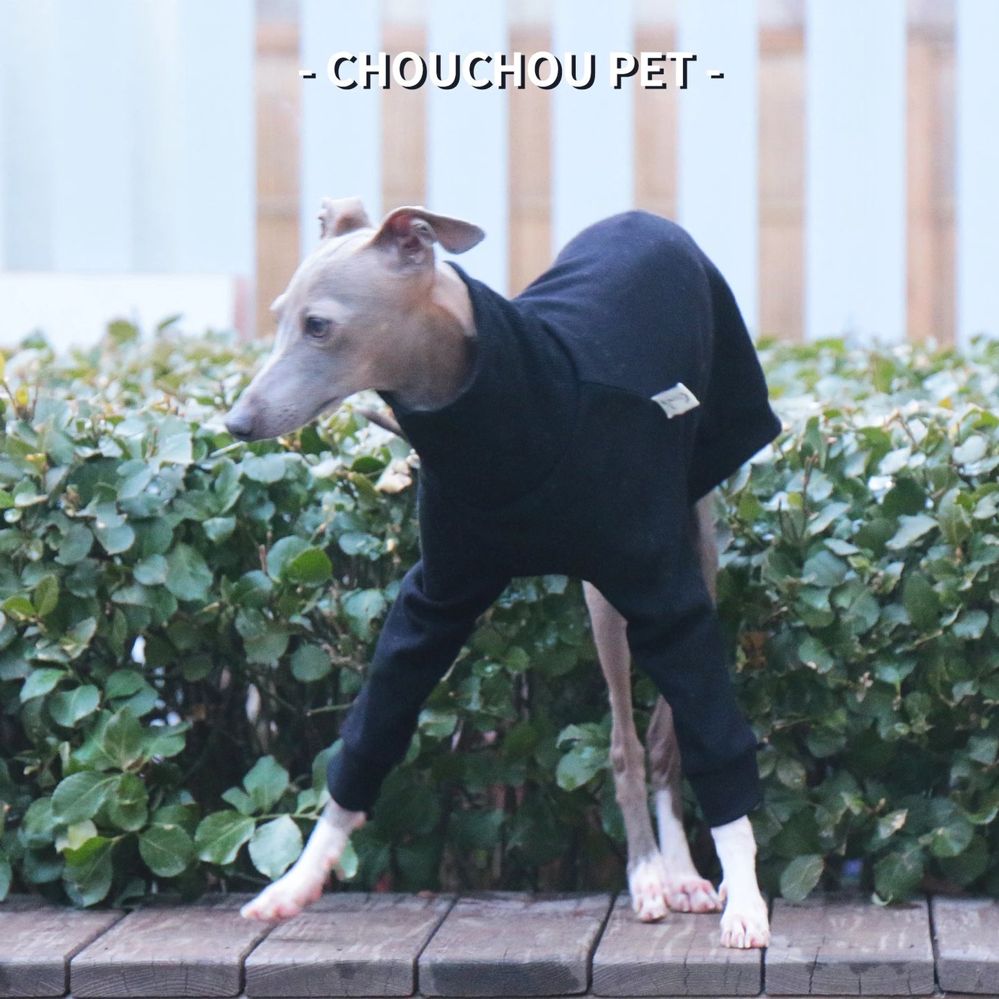 Camiseta de Poliéster Manga Larga Whippet