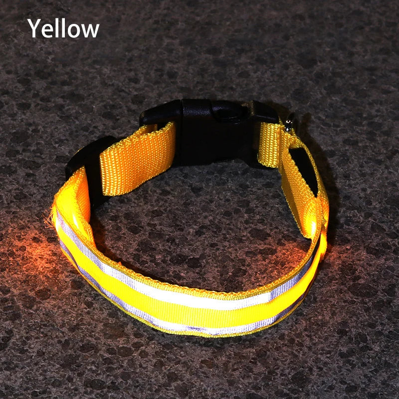 Collar Luminoso
