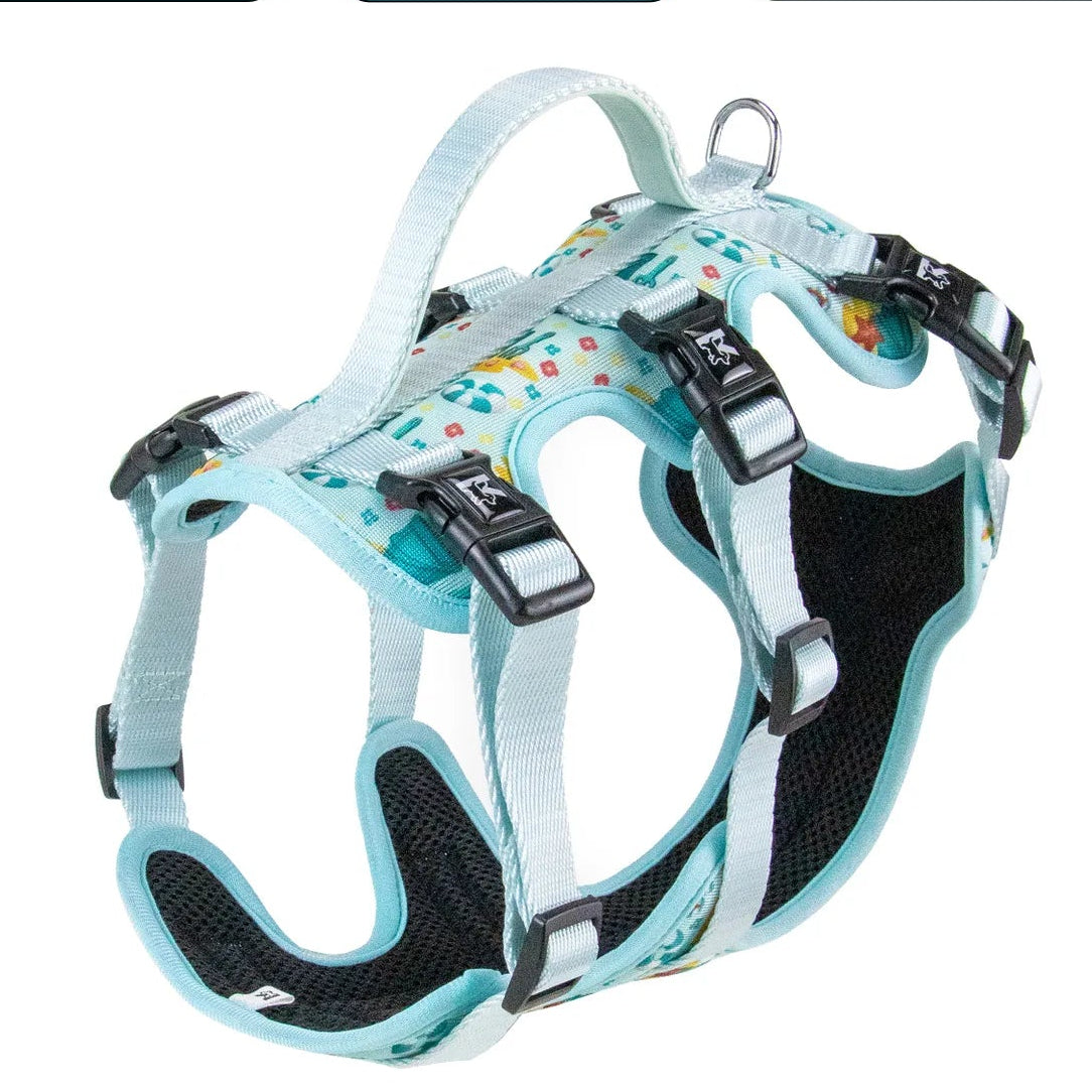 Arnés de Tres Puntos (antiescape)