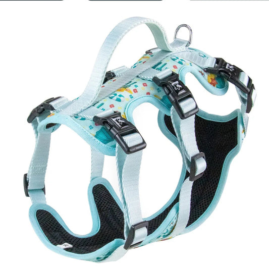 Arnés de Tres Puntos (antiescape)