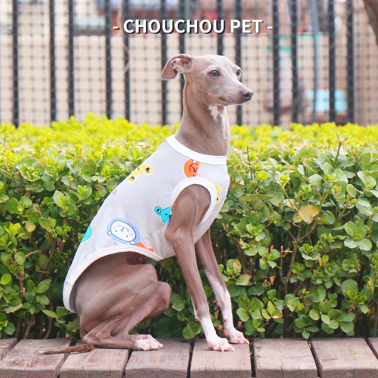 Camiseta de Algodón Ositos