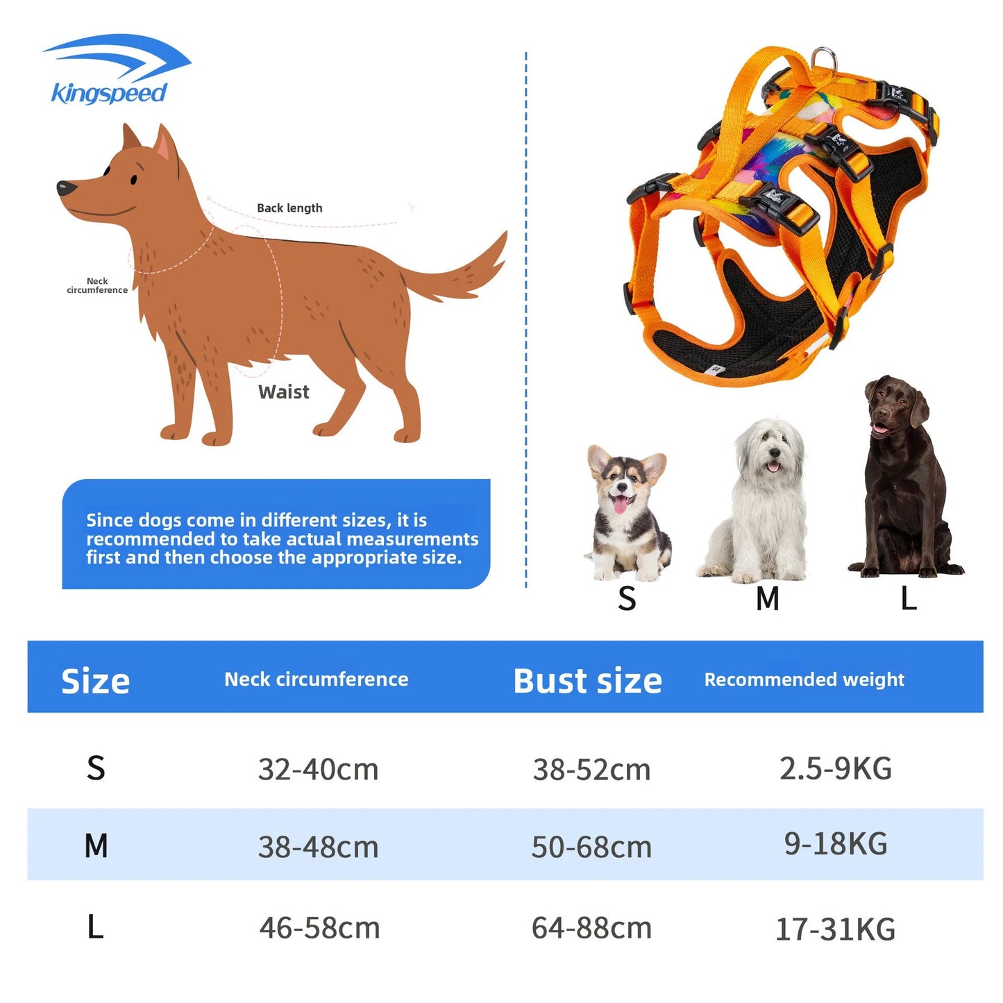Arnés de Tres Puntos (antiescape)