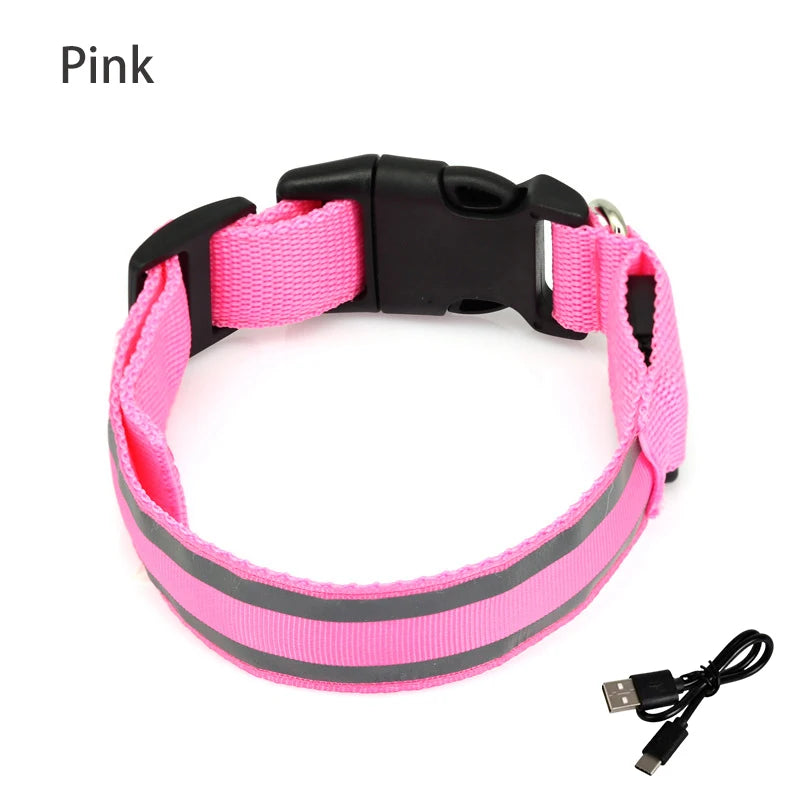Collar Luminoso