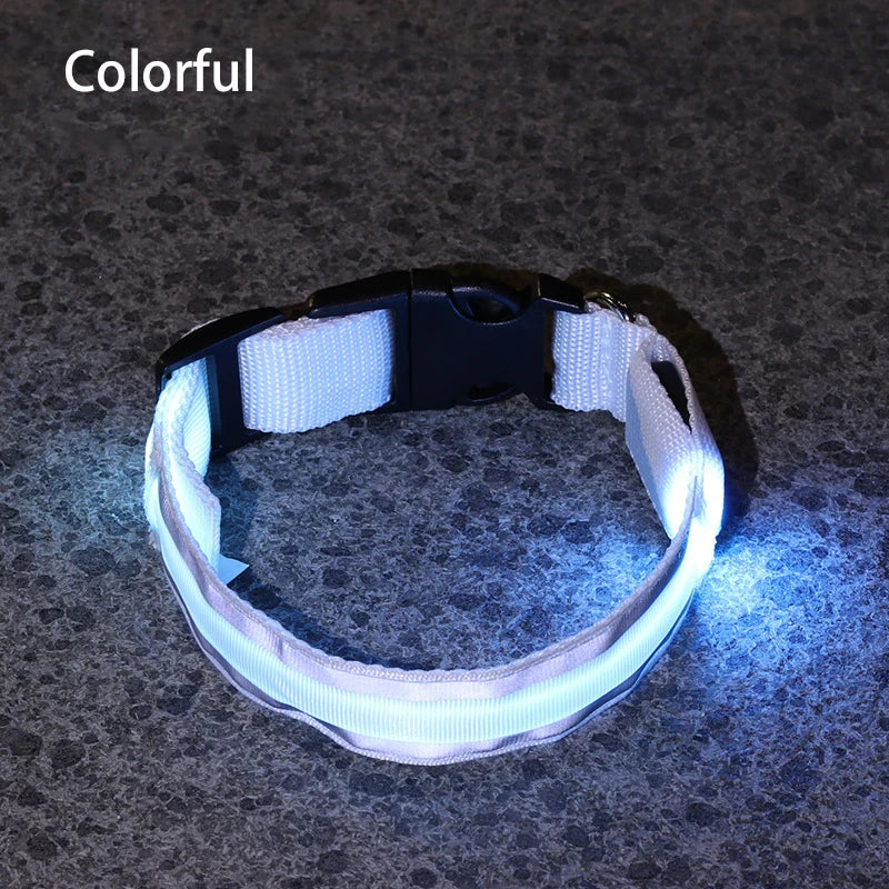 Collar Luminoso