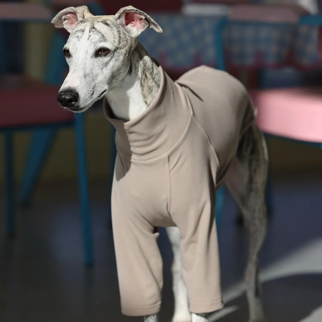 Camiseta de Poliéster Manga Larga (Varios Colores)