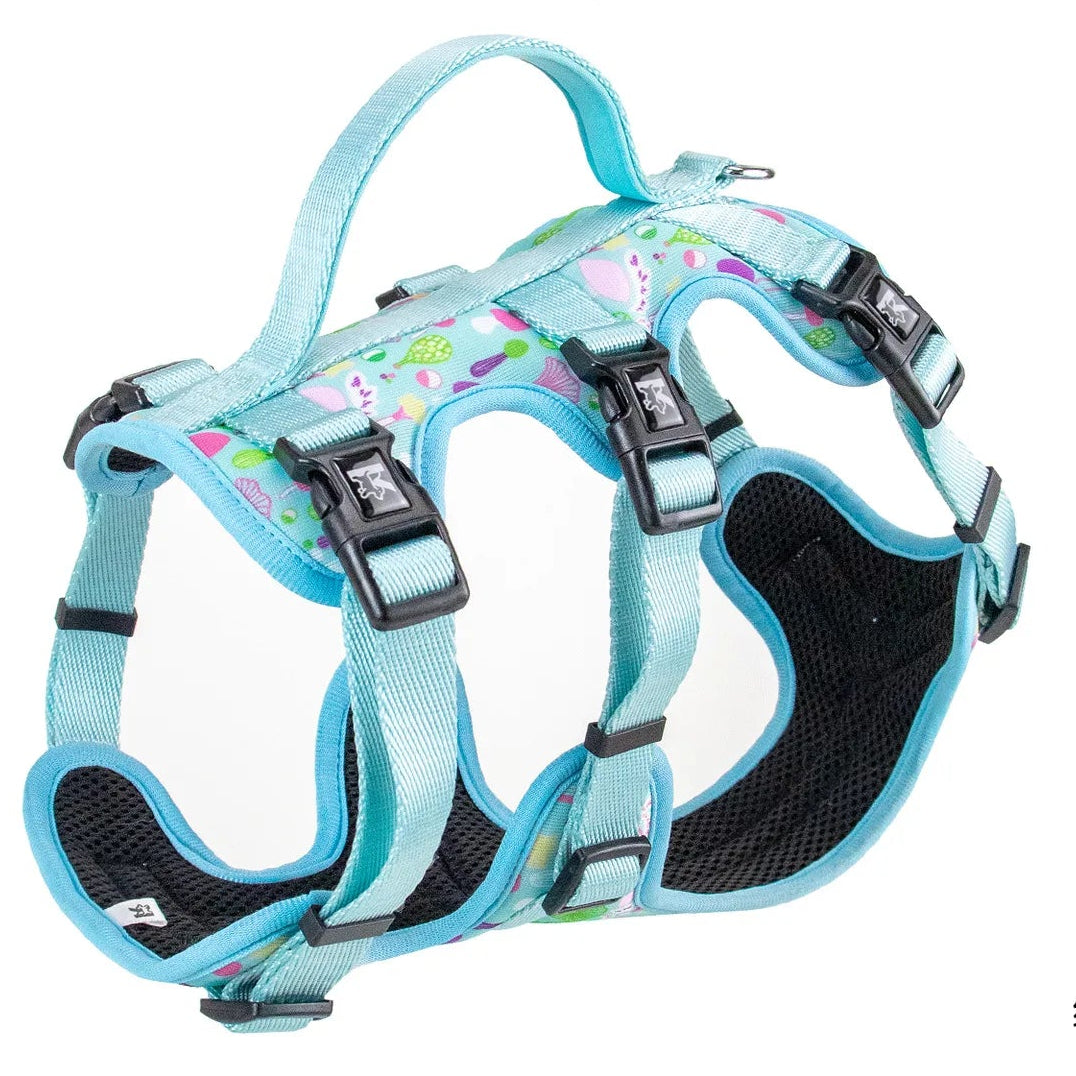 Arnés de Tres Puntos (antiescape)