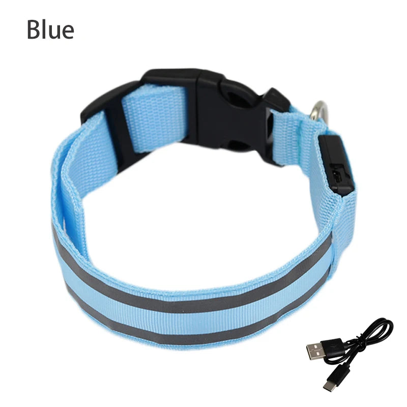 Collar Luminoso