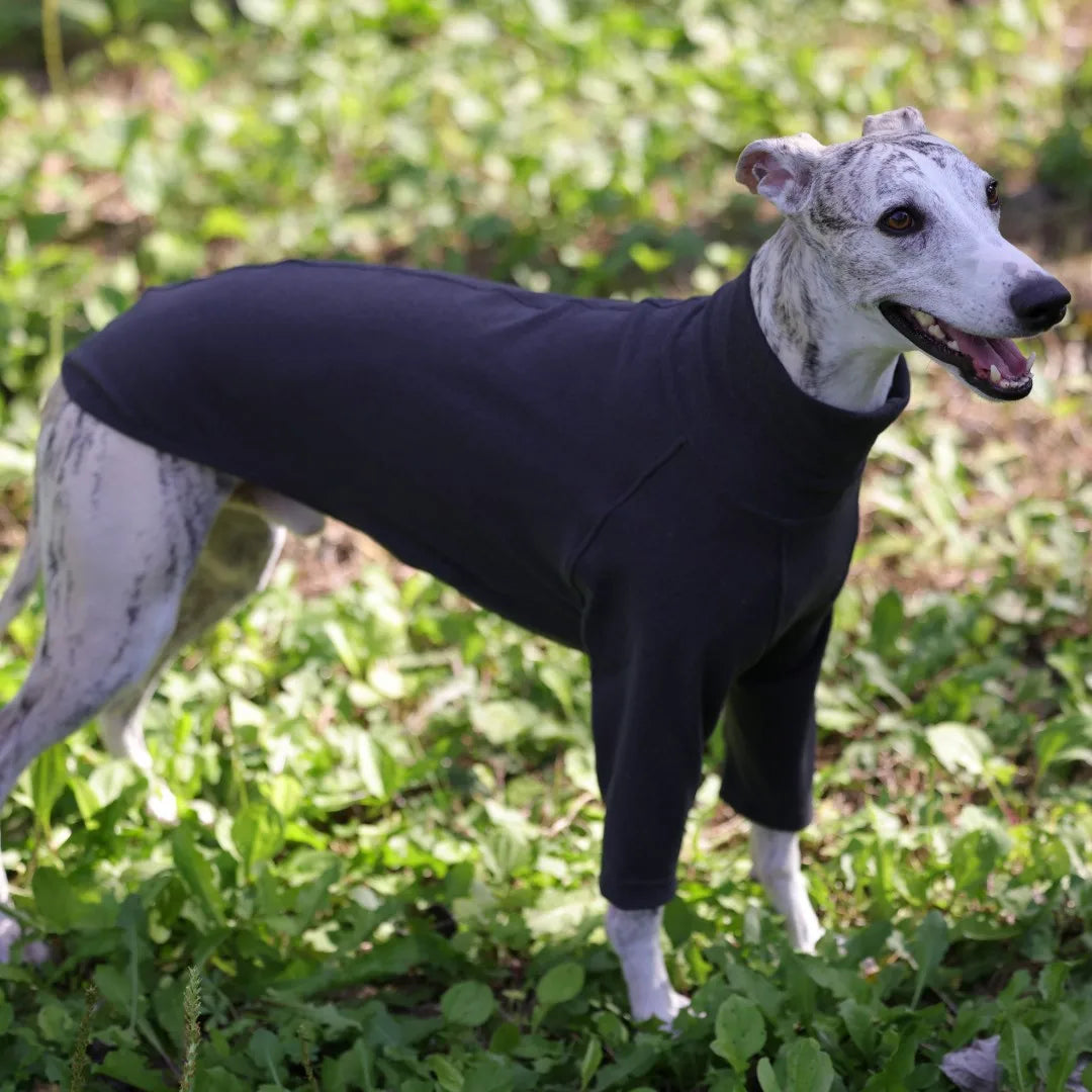 Camiseta de Poliéster Manga Larga (Varios Colores)