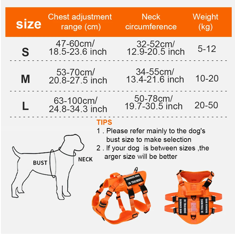 Arnés de Tres Puntos (entrenamiento/antiescape)