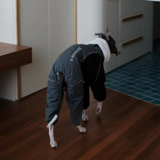 Abrigo Vintage Impermeable