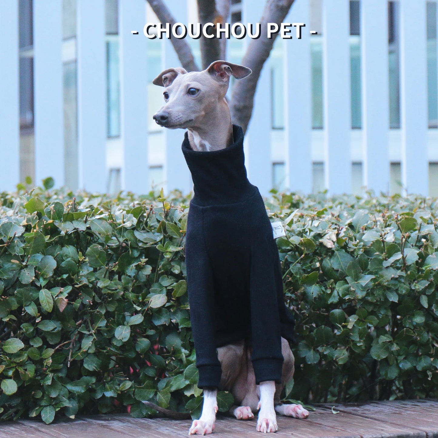 Camiseta de Poliéster Manga Larga Whippet