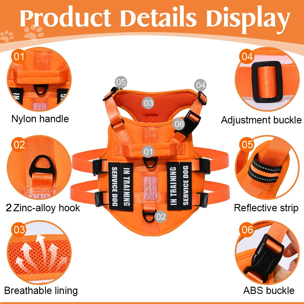 Arnés de Tres Puntos (entrenamiento/antiescape)