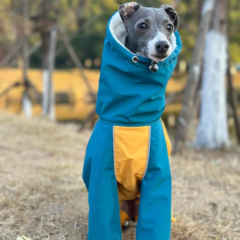 Abrigo de Invierno Impermeable Whippet