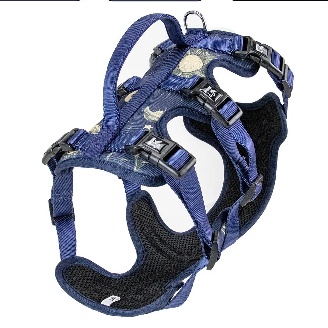 Arnés de Tres Puntos (antiescape)