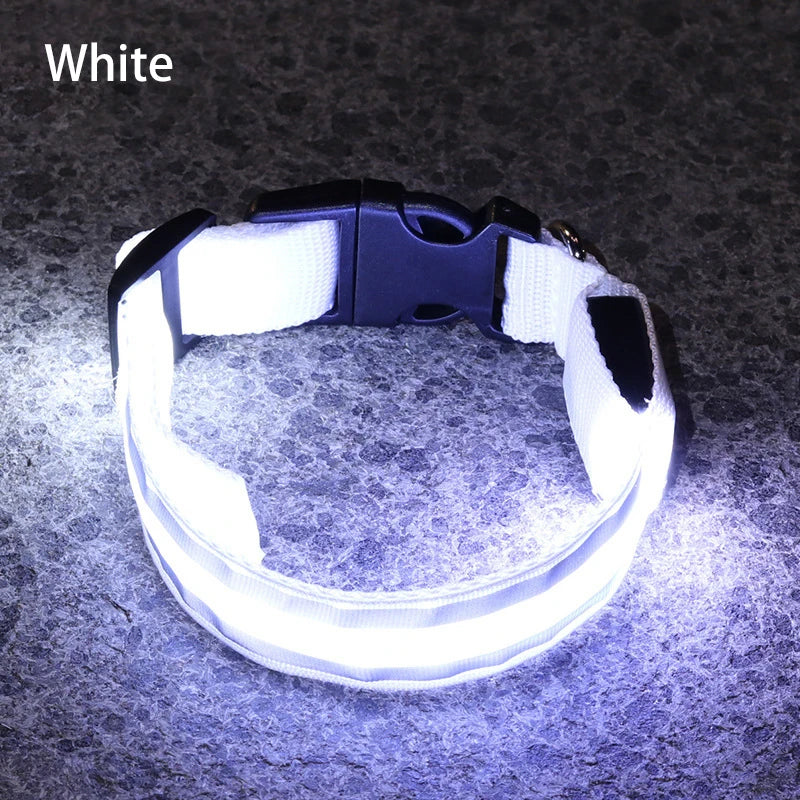 Collar Luminoso
