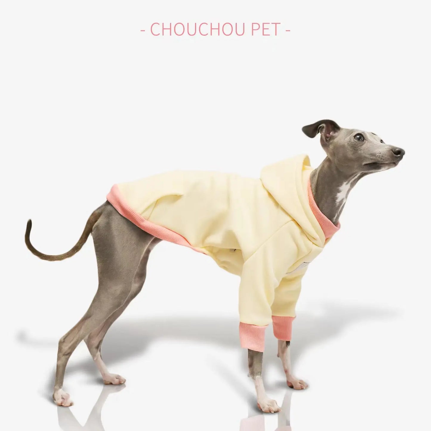 Sudadera Whippet