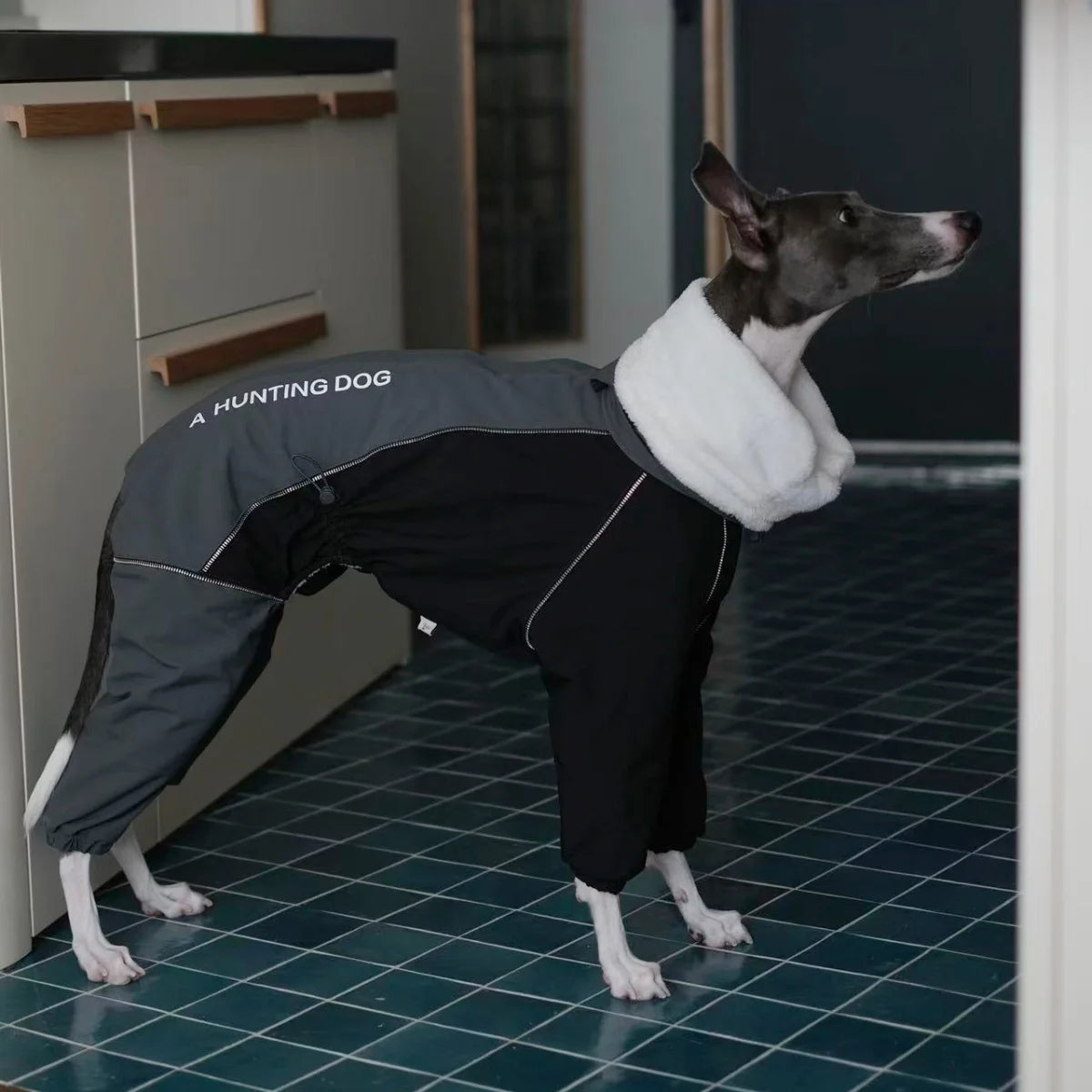 Abrigo Vintage Impermeable Whippet