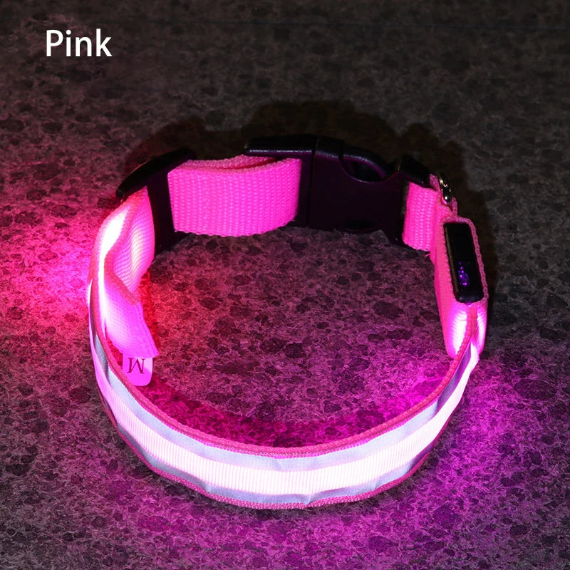 Collar Luminoso