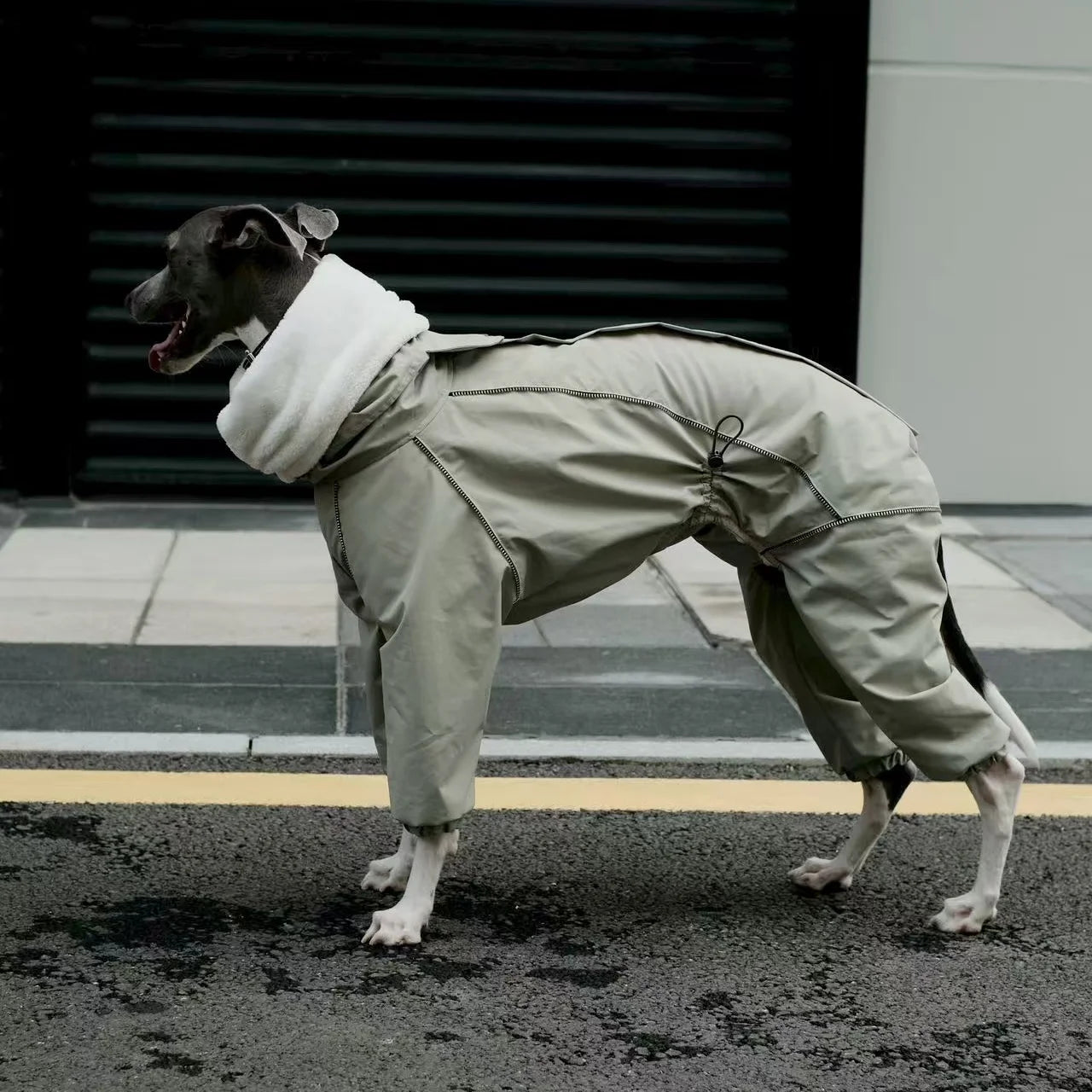 Abrigo Vintage Impermeable Whippet