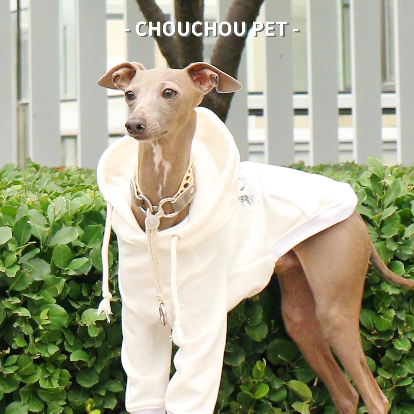 Sudadera Manga Larga