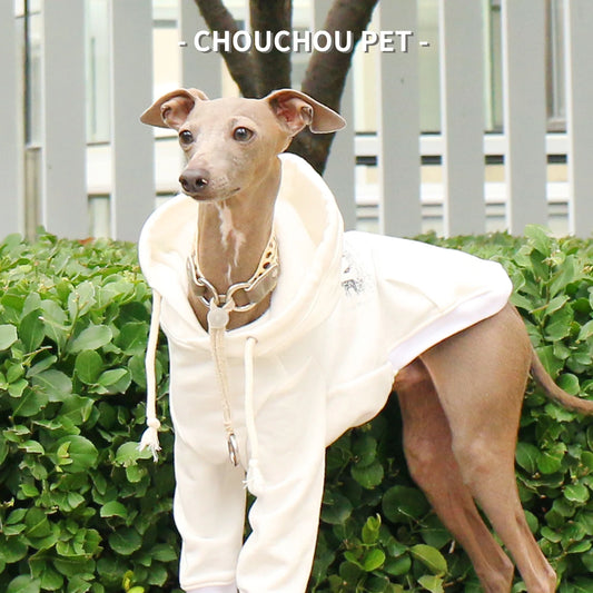 Sudadera Manga Larga