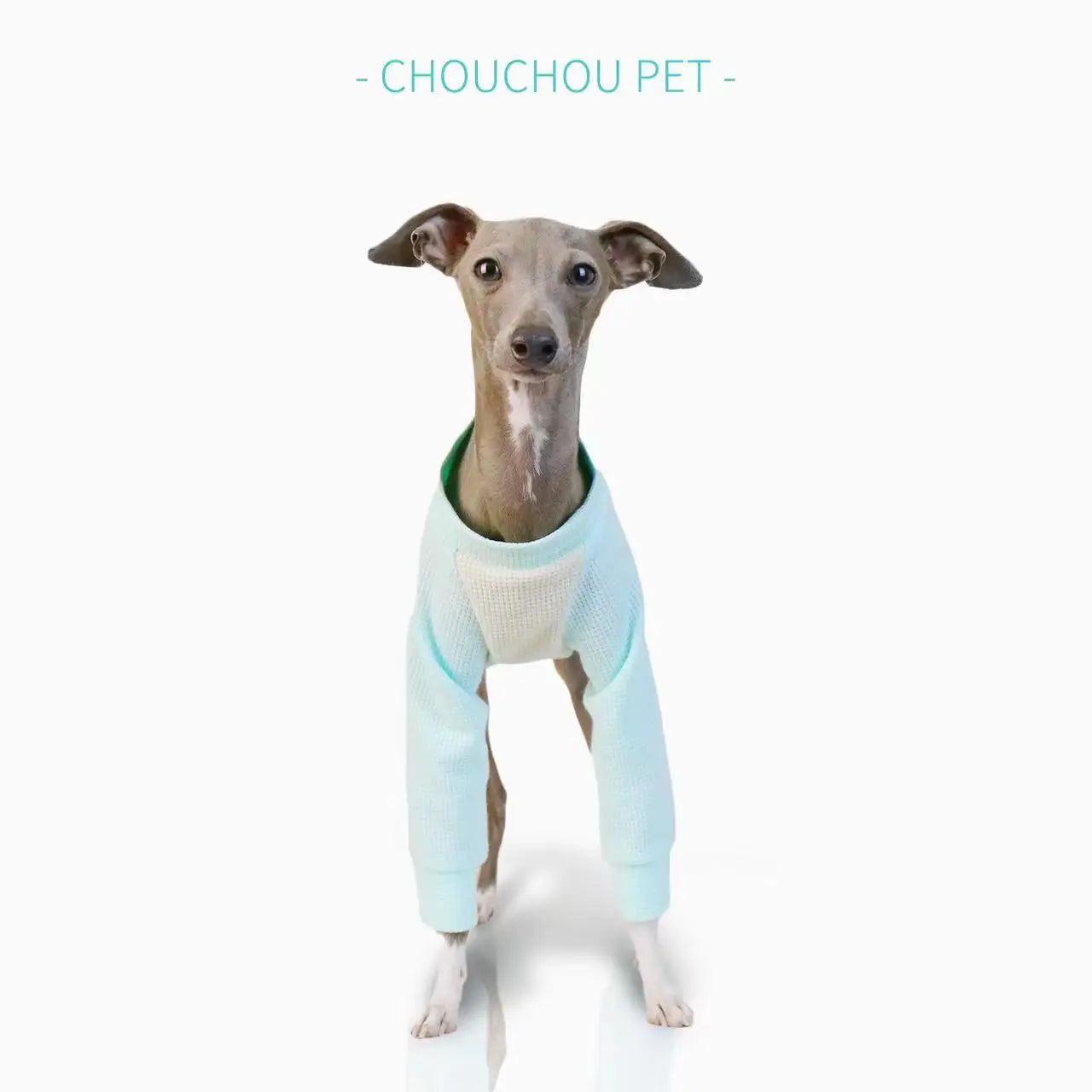 Camiseta Manga Larga de Algodón Whippet