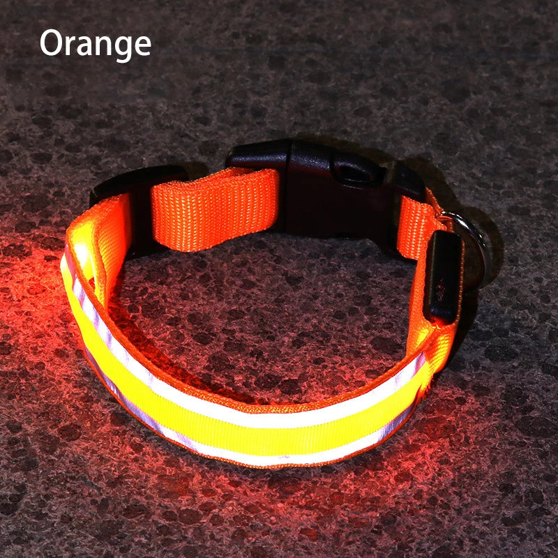 Collar Luminoso