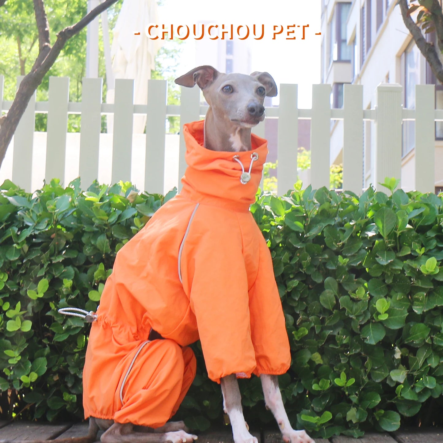 Chubasquero Whippet