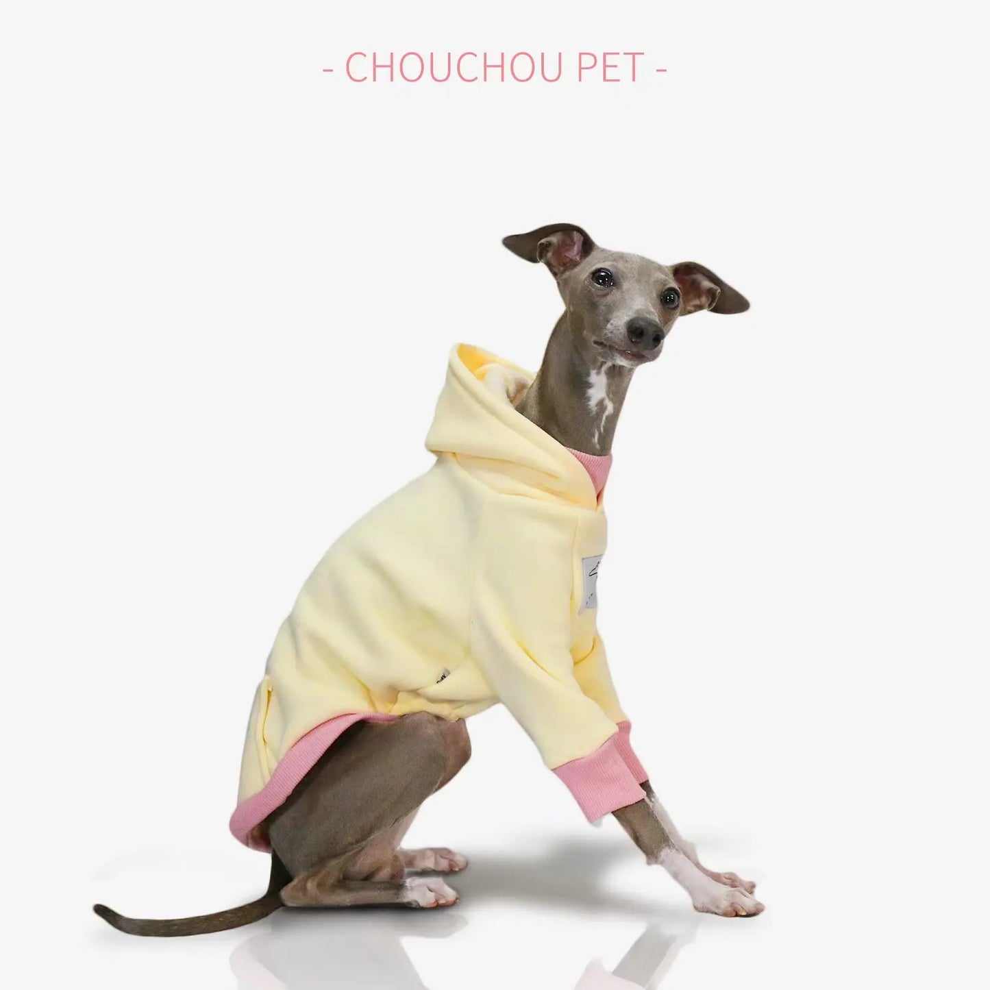 Sudadera Whippet