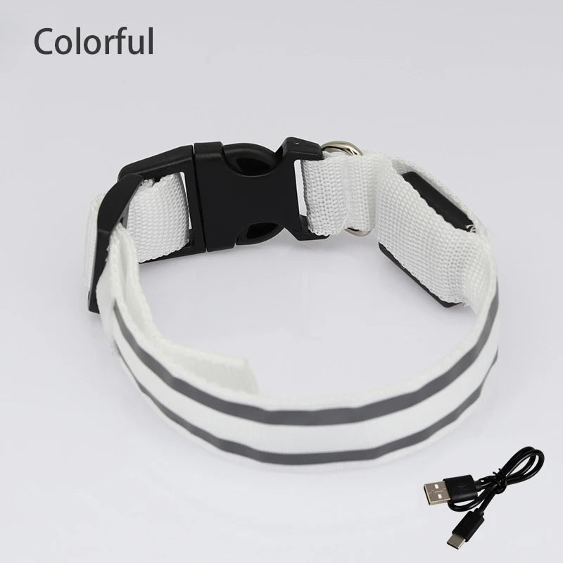 Collar Luminoso