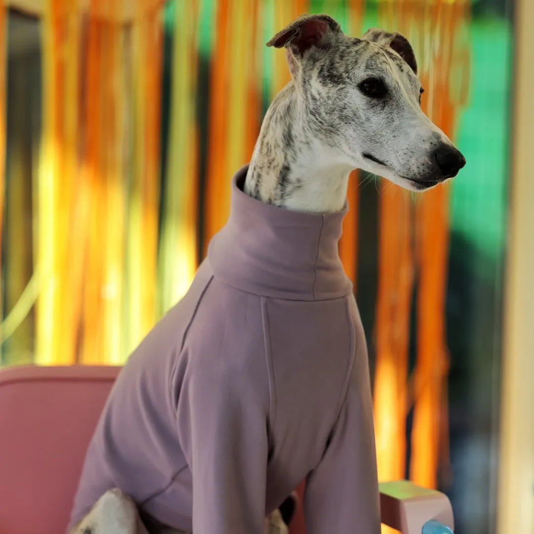 Camiseta de Poliéster Manga Larga (Varios Colores)