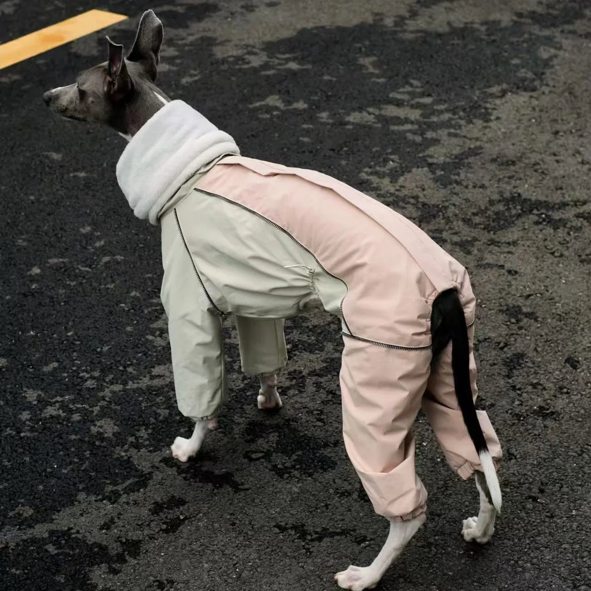Abrigo Vintage Impermeable Whippet