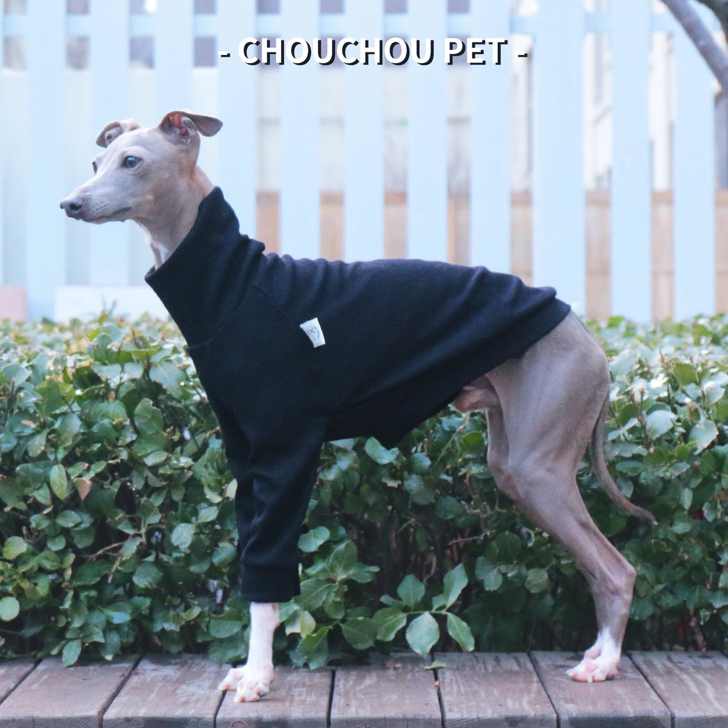 Camiseta de Poliéster Manga Larga Whippet