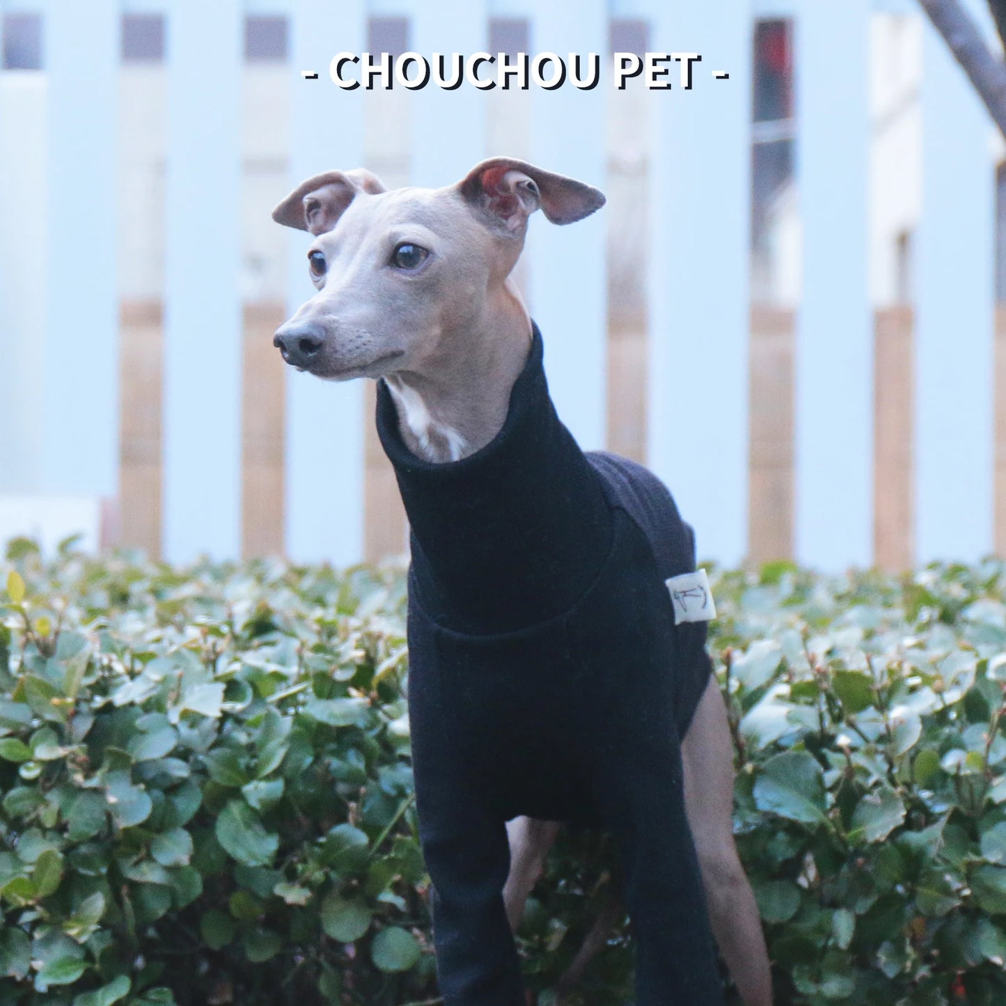 Camiseta de Poliéster Manga Larga Whippet