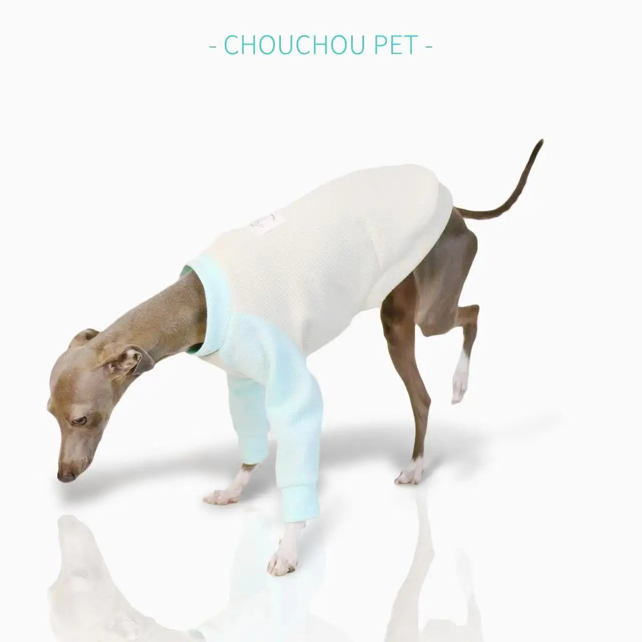 Camiseta Manga Larga de Algodón Whippet