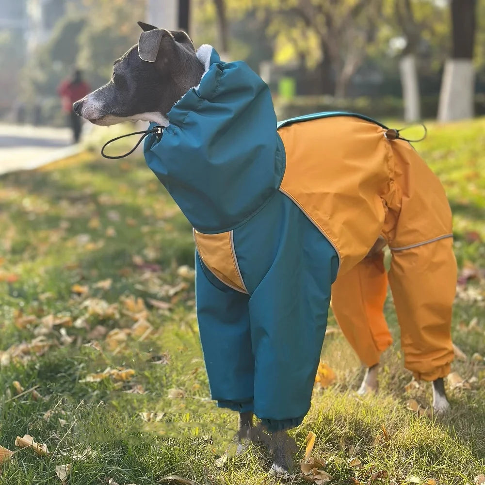 Abrigo de Invierno Impermeable Whippet