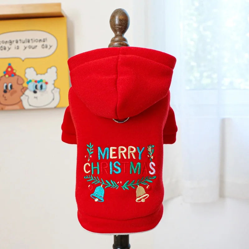 Sudaderas con Letras