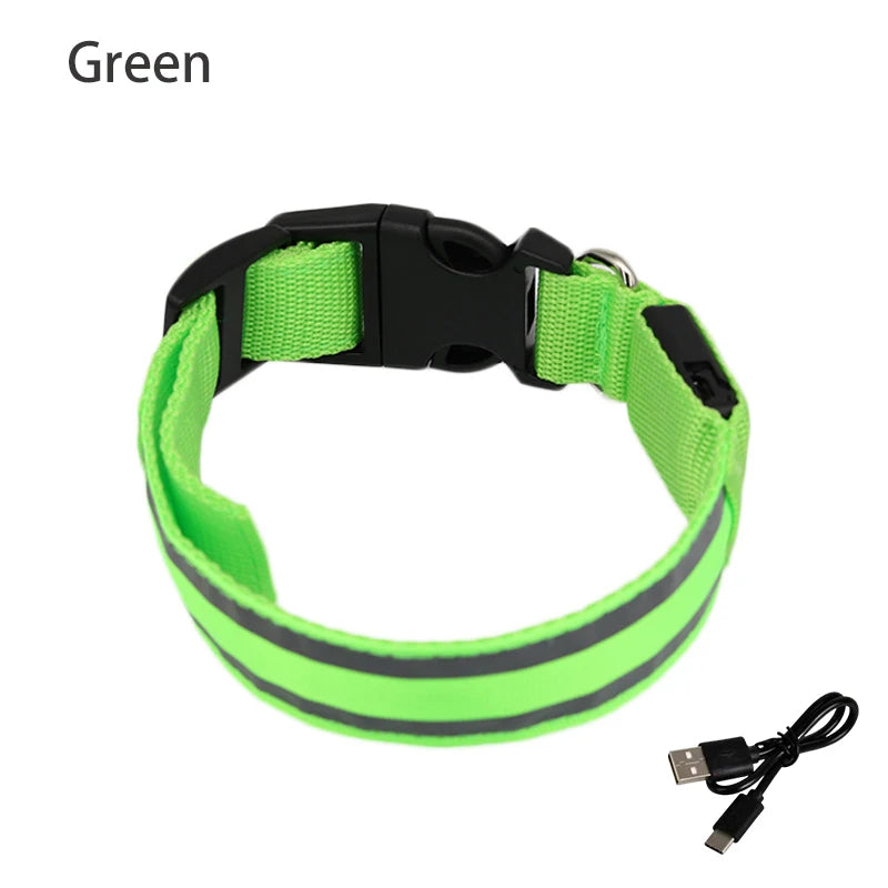 Collar Luminoso