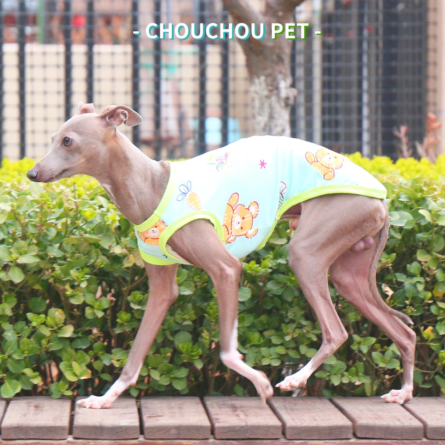 Camiseta de Algodón Ositos