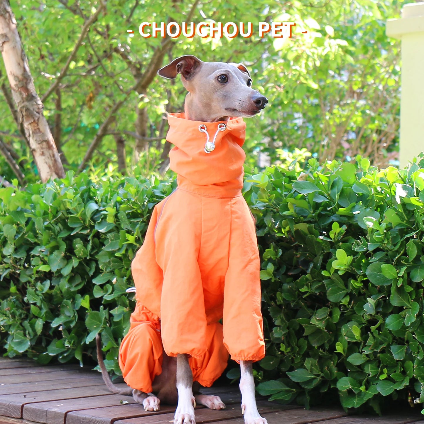 Chubasquero
