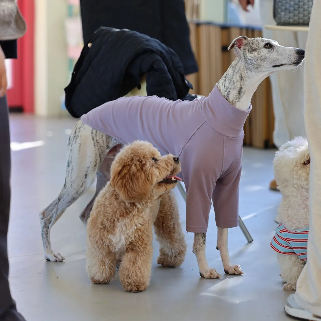 Camiseta de Poliéster Manga Larga (Varios Colores)