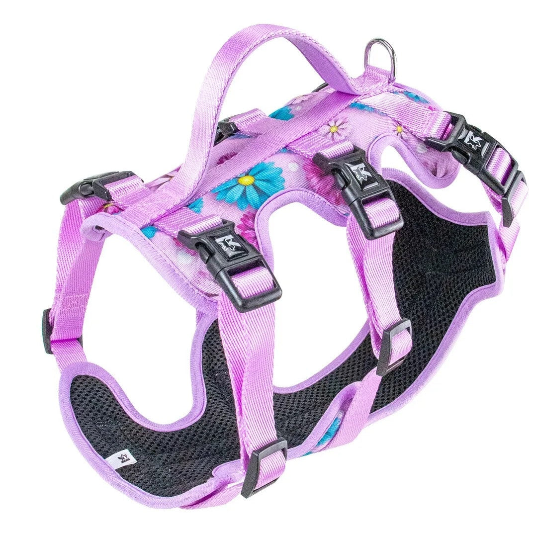 Arnés de Tres Puntos (antiescape)