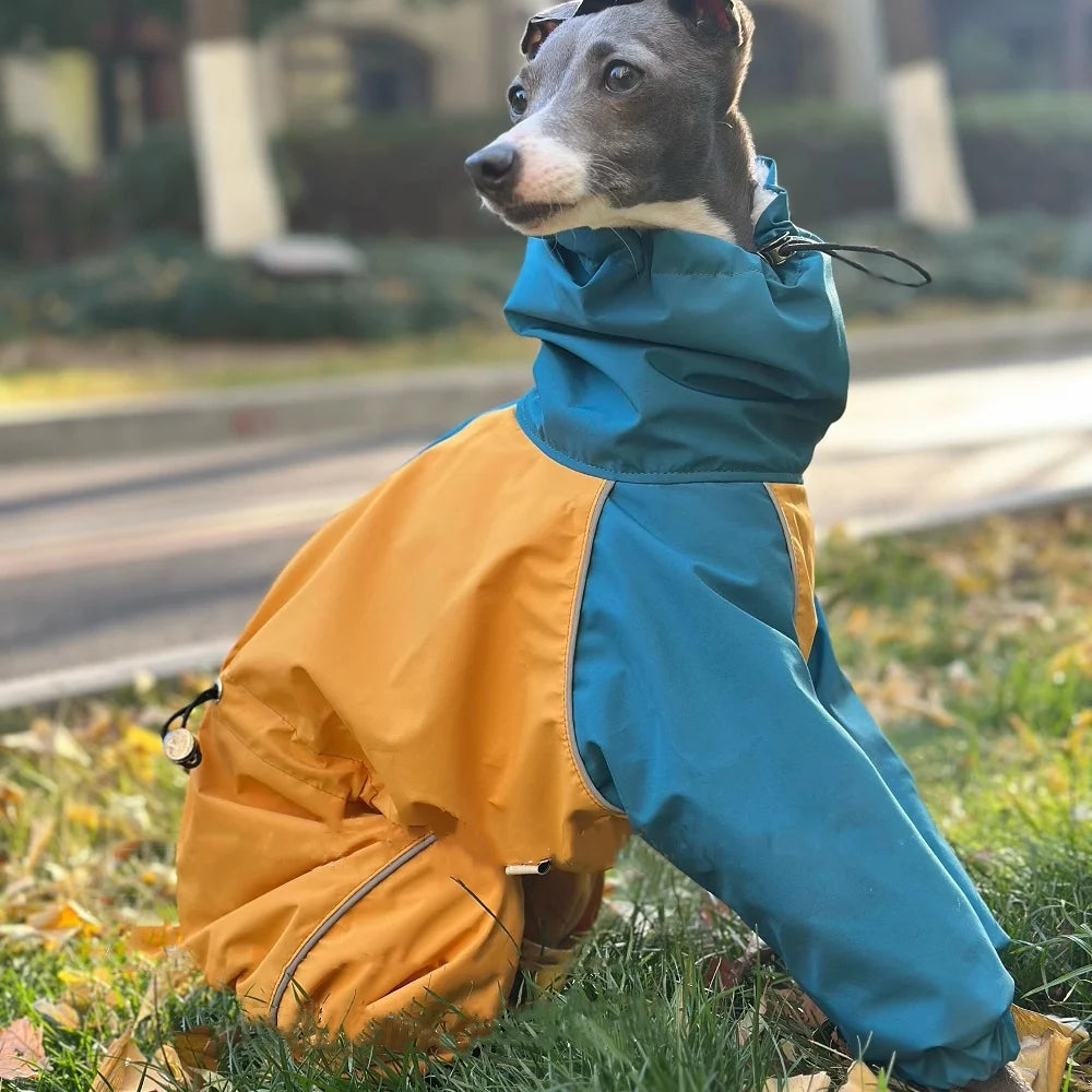 Abrigo de Invierno Impermeable Whippet
